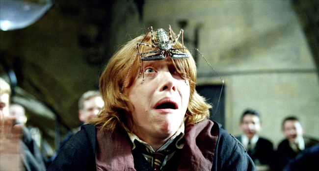 Rupert Grint22460_MCDHAPO_EC473_H