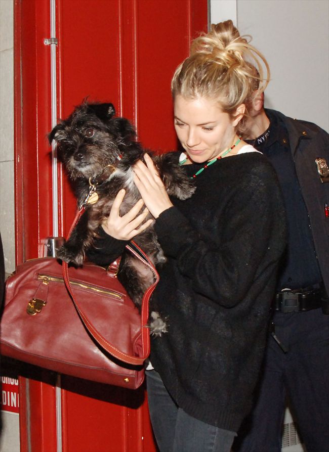Sienna Miller24885_aflo_2009120515011515