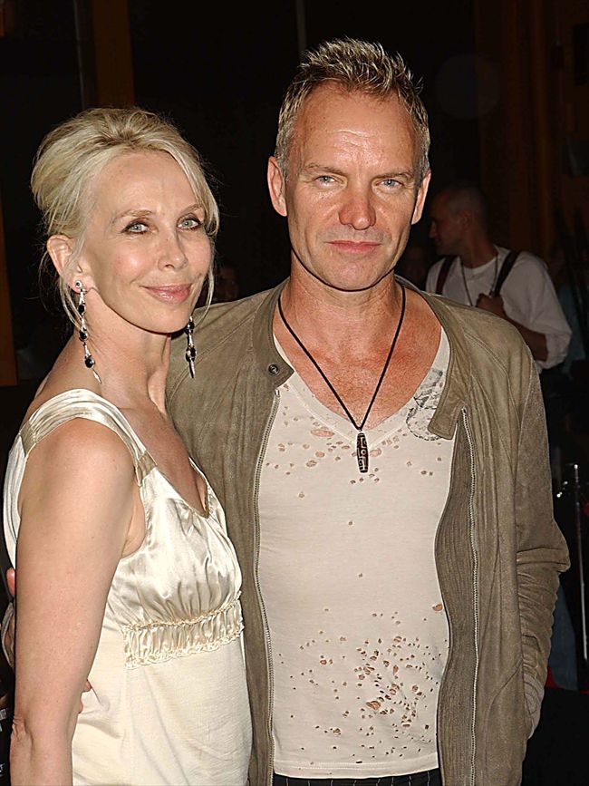 Sting25306_STING TRUDIE STYLER