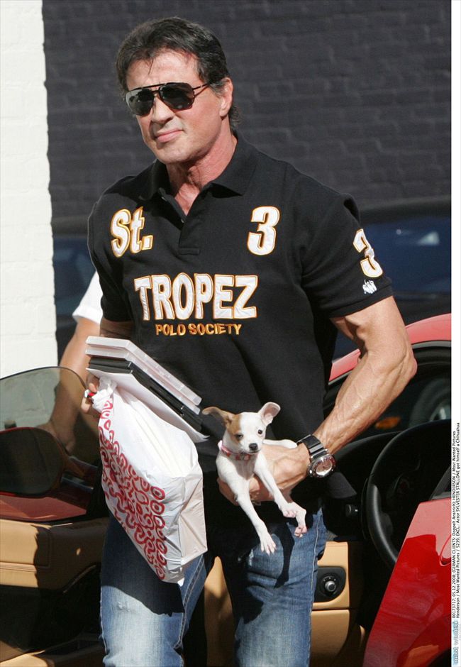 Sylvester Stallone25407_aflo_2008120811462015