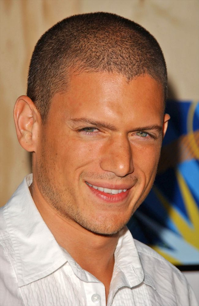 Wentworth Miller27016_Wentworth Miller10