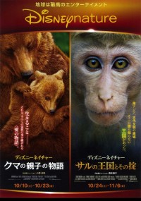 ディズニーネイチャー　クマの親子の物語