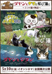 ダヤンとタマと飛び猫と ～3つの猫の物語～