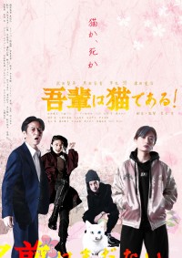 吾輩は猫である！