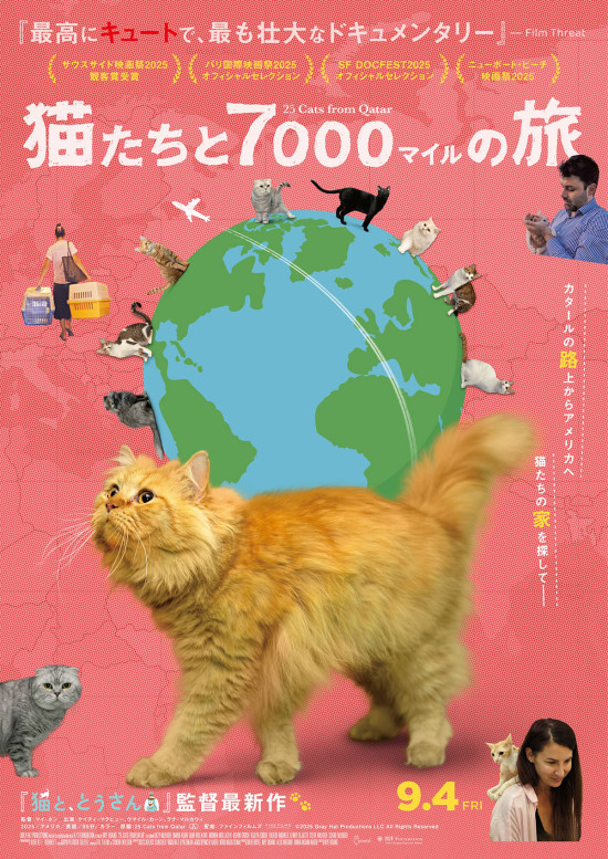 猫たちと7000マイルの旅