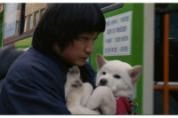 ムサン日記～白い犬