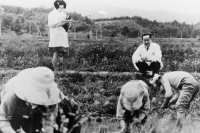 医す者として