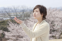 桜、ふたたびの加奈子