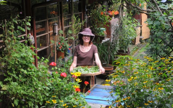 ベニシアさんの四季の庭