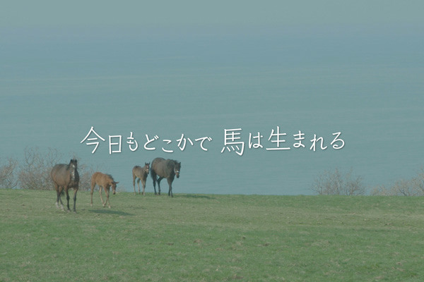 今日もどこかで馬は生まれる