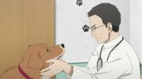 とんがり頭のごん太  ―２つの名前を生きた福島被災犬の物語―