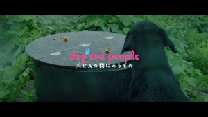 dog and people 犬と人の間にあるもの