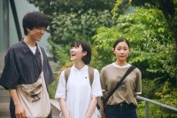 温帯の君へ