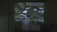 曖昧な楽園