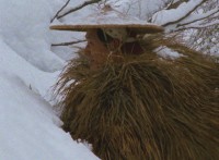 越後奥三面-山に生かされた日々〈デジタルリマスター版〉