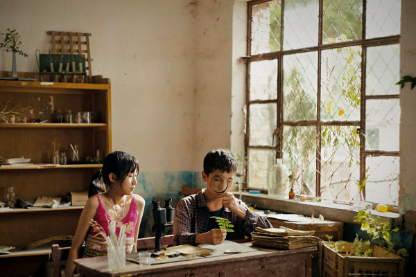 ボタニスト 植物を愛する少年