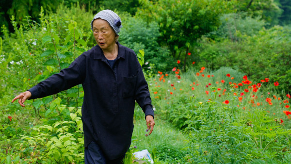大地に詩を書くように《字幕版》