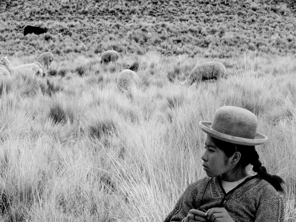 少女はアンデスの星を見た