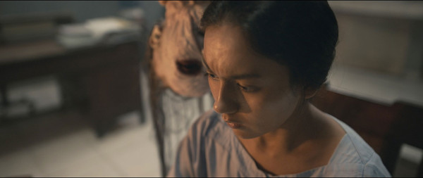 サトウキビは知っている