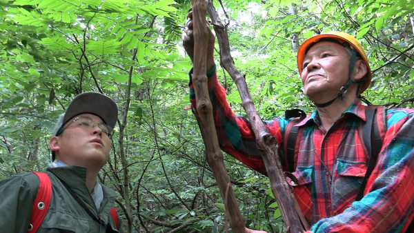 山人ー縄文の響きが木霊するー